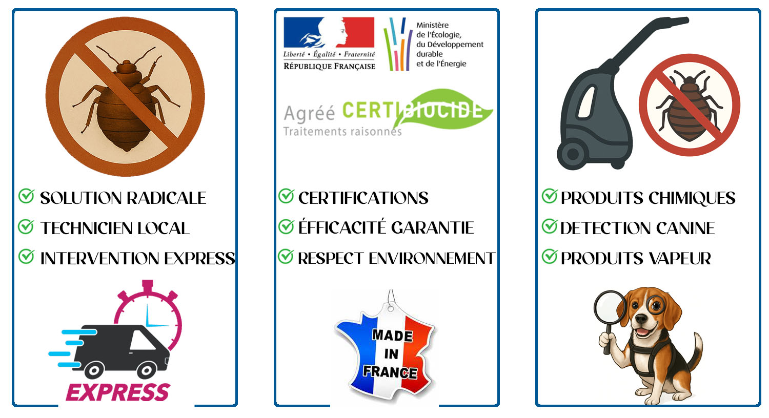 Punaises de Lit Nogent sur Marne